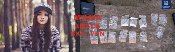 амф Чекалин