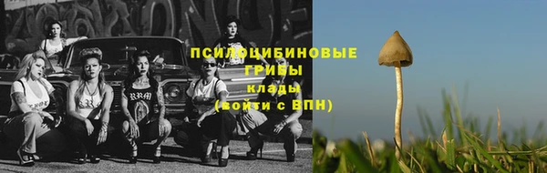 амф Чекалин