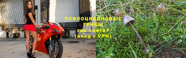 apvp Елабуга