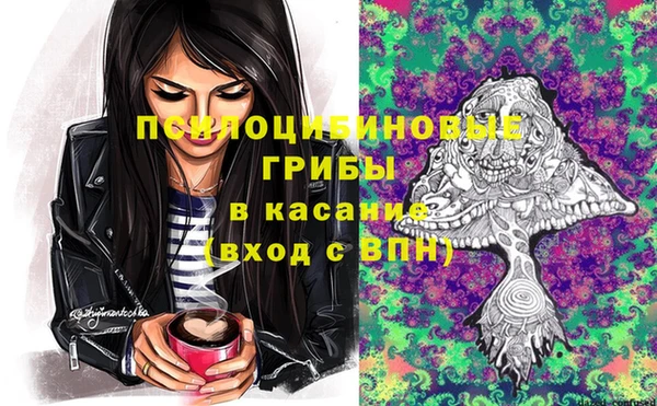 apvp Елабуга