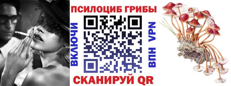 Псилоцибиновые грибы Psilocybe  купить наркоту  Выборг 