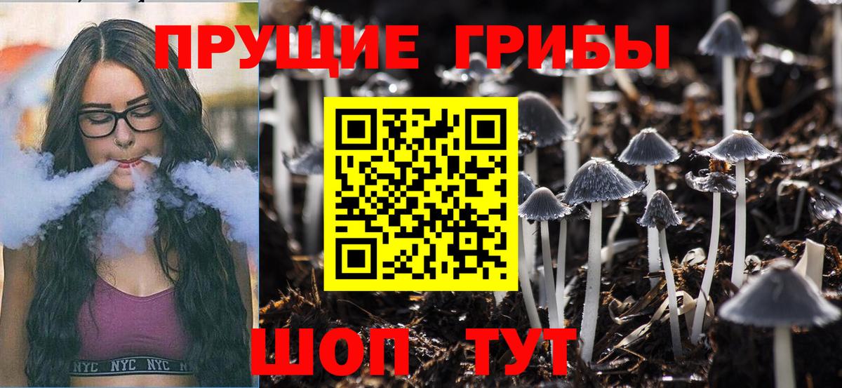 Псилоцибиновые грибы MAGIC MUSHROOMS  Вход с VPN  Выборг 