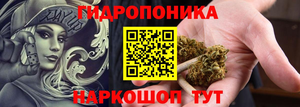 Конопля White Widow  Марихуана марихуана  Выборг  Конопля тримм  Вход с VPN  Конопля конопля 